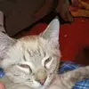 krystalbogle - @krystalbogle - TikTok