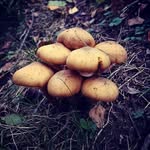 Crystal Boles - @boles1559 - Instagram