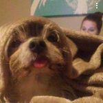 Crystal Chappell - @crystal.chappell.5 - Instagram