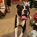 Crystal Chappell - Facebook