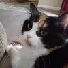 Kristal Cooke - @ginathecat0 - TikTok