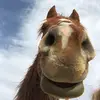 krystaldahl328 - @krystaldahl328 - TikTok