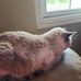 Crystal Merrill Dick - Facebook