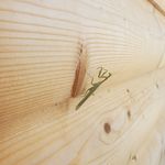 Crystal Dutton - @crystaldutton07 - Instagram