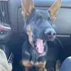 Crystal Eubanks - @eubanks10312020 - TikTok