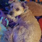 Crystal Haddock - Facebook