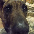 Krystal Hepler - Facebook