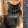 krystalhoffman298 - @krystalhoffman298 - TikTok