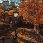 Crystal Levine - @crystallevine462 - Instagram