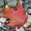krystallilly730 - @krystallilly730 - TikTok