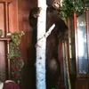 Rick Krystal Lloyd - @rick.krystal.lloy - TikTok