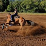 Krystal Lowe - @_timberlinefarm - Instagram