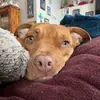 krystal_lynch - @user422767722326811 - TikTok