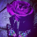 Krystal Rose Havens-noel - @havensnoel - Instagram