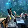 krystaloglesby4 - @krysnicole28 - TikTok