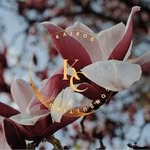 Krystal H. Parrish, PhD - @krystalhparrishphd - Instagram