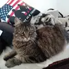crystal pickering - @crystal.pickering6 - TikTok