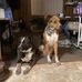 Crystal Rasmussen - Facebook