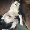 Crystal Samuels - @crystalsamuels0 - TikTok