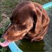 Crystal Necole Skinner - Facebook