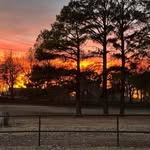 Krystal Strong - @mom.of.barrel.racers_ - Instagram