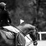 🐴Terry🐴 - @terry_krystal_ - Instagram