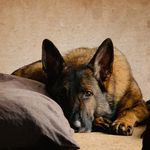 Crystal Thayer - @thayer.crystal - Instagram