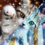 Tyson and Krystal - @tyson_krystal_edits - Instagram