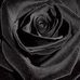 Krystal Yeager - Facebook