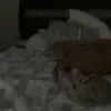 Kaisen Repman - @kaisenrepman - TikTok