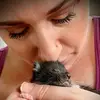 Krystal Everett - @kitten_foster_alchemy - TikTok