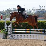 Krystal Gardner - @theowlequestrian - Instagram