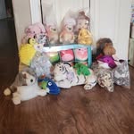 Krystal Waters' CSI Project - @rhs.csi.stuffed - Instagram