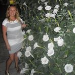 Krystyna Banach - Facebook