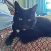 Krystyna Banach Hypki - @krystyna.banach.h - TikTok