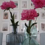 Krystyna Gancarczyk Baran - @gancarczykbaran - Instagram