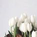 Krystyna Ciszek - Facebook