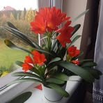 Krystyna Kopec - Facebook
