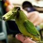 Kshitiz Shrestha - @kshitizshrestha10 - Instagram