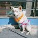 Kshitiz Shrestha - Facebook