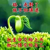 路KUANG LU - @kuang.lu - TikTok