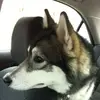 Kuang Lu - @81477285 - TikTok
