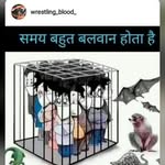 @kuldip__jain - Instagram
