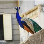 Kuldip Jain - Facebook