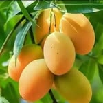 Kumar Bhatt - @kumarbhatt82 - Instagram