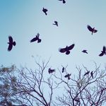 Kumar Sourabh - @imlambooji - Instagram