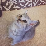 Kun Hou - @kunhou31 - Instagram