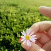 Kun Hou - @54hka - TikTok