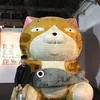 Kun Hou Chan - @kunhou212 - TikTok