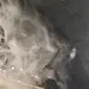 ФСБШНИК 😈 - @kunlao666 - TikTok